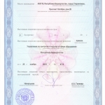 МАУ ДО ДШИ 2015 (1)