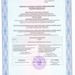 МАУ ДО ДШИ 2015 (2)