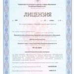 МАУ ДО ДШИ 2015